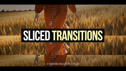 Sliced Transitions 