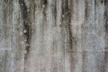 dirty on old cement wall with mold texture