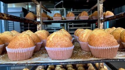 Madalenas recién hechas en el obrador de una panadería