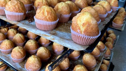 Madalenas recién hechas en el obrador de una panadería