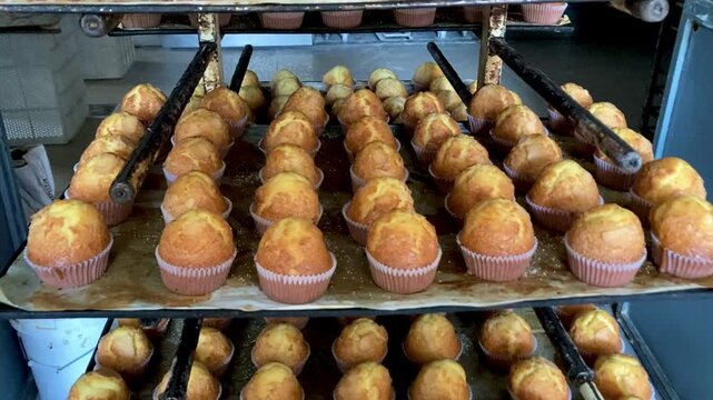 Madalenas reci&eacute;n hechas en el obrador de una panader&iacute;a