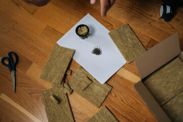 Top view of microgreens seeds and rockwool cubes arranged on white paper, ready for planting in...