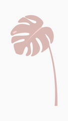 Monstera leaf vector pastel illustration