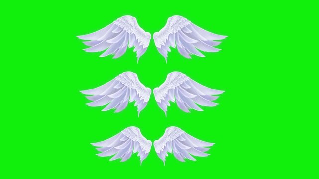 Angel birds flying wings animation video green screen.