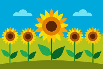 A field of sunflowers under a blue sky with white clouds