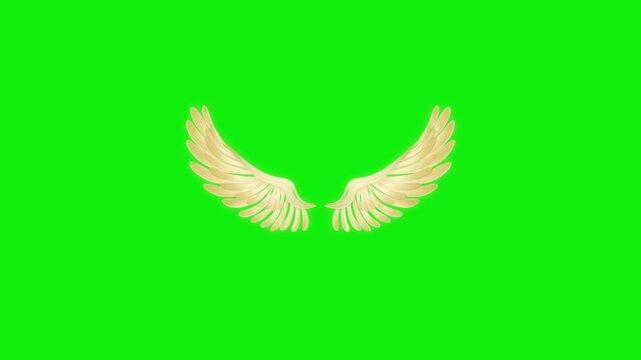 Angel birds flying wings animation video green screen.