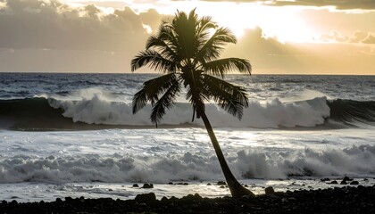 Silhouetted palm tree leans against crashing waves during a dramatic sunset over a rocky shore