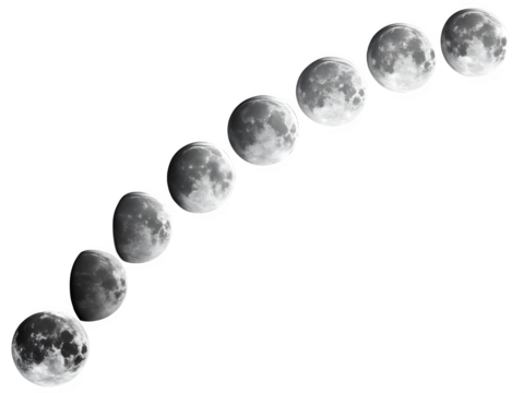 Lunar cycle progression showing all phases of the moon