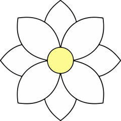 flower isolated on white