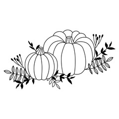 Pumpkins and Autumn Flowers Vector Illustration