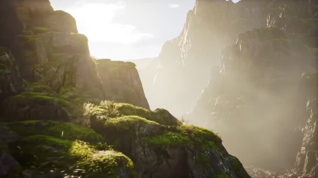 Cinematic Journey Through a Sun-Kissed, Moss-Covered Mountain Canyon
