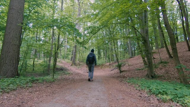 Hiker walks thrue the forest