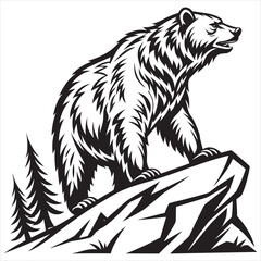 grizzly-bear-vector