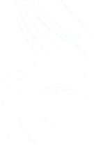 Abstract white flowing lines