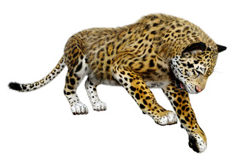 3D Rendering Big Cat Jaguar on White