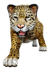 3D Rendering Big Cat Jaguar on White