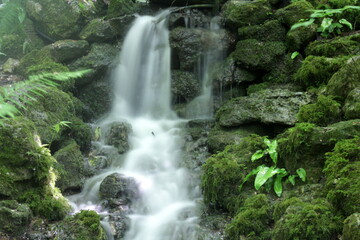 Waterfall and ferns in the mist, Chaumont sur Loire, France
