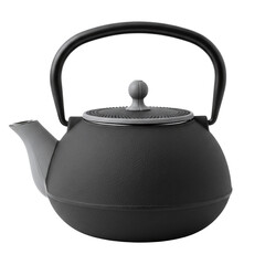 Traditional japanese cast iron teapot or tetsubin