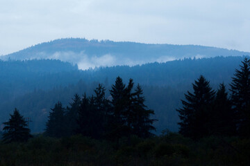 foggy mountain