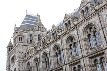Naklejka premium Royal Natural History Museum, London, UK