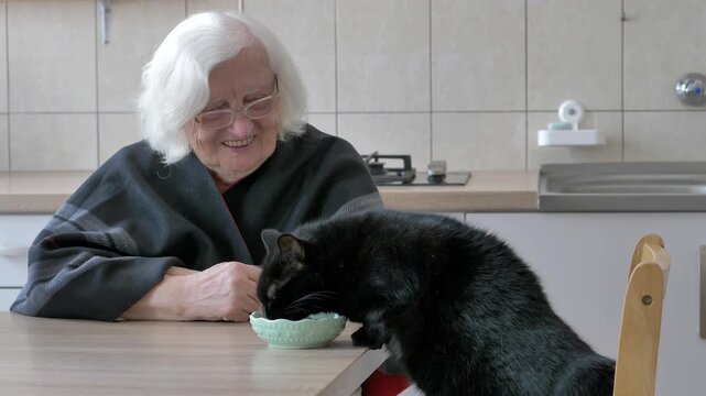 Old woman and black cat. Friends