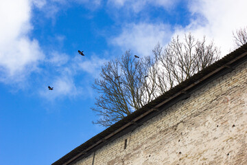 An ancient dilapidated stone wall on the horizon of the sky and flying birds