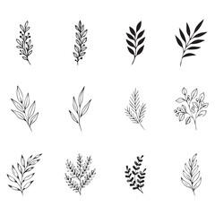 Branches & Leaves SVG Bundle