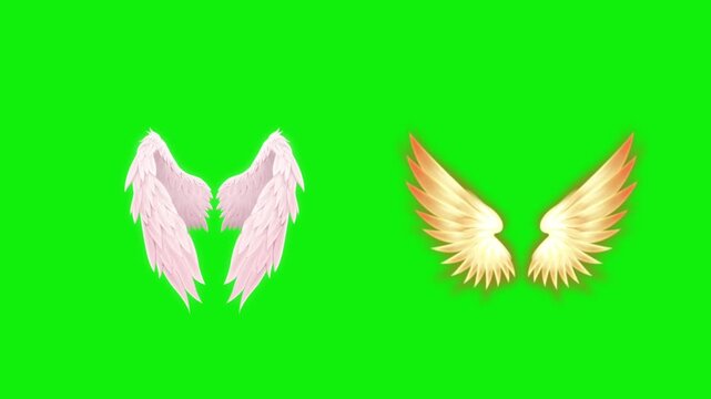Angel birds flying wings animation video green screen.