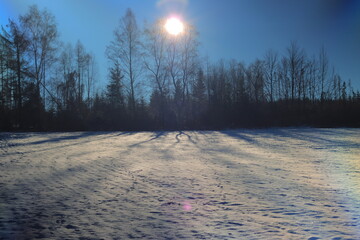 Winter nature season snow and sun photo