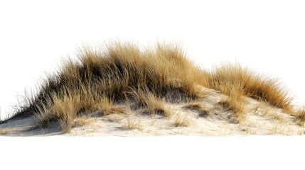 dune with brown grass isolated on white background