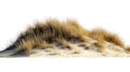 Papier peint photo Herbes des dunes dune with brown grass isolated on white background  © Iana