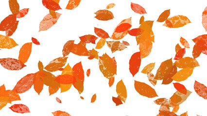 Autumn Leaves Falling in the Dark Representing Fall Season and Colorful Nature and Vibrant...