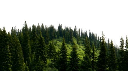  beautiful mountain landscape with dense forest and trees isolated on white background