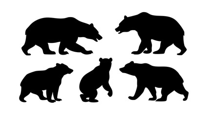 Black bear standing and walking silhouettes wildlife