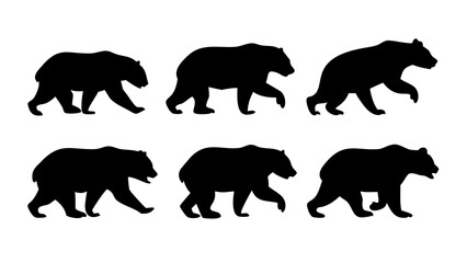 Black bear standing on hind legs ursus americanus animal