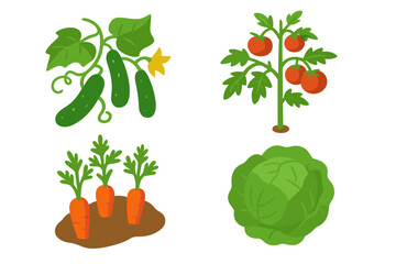 Isometric vegetable garden icons set featuring cucumber vine with leaves, tomato plant with fruit, fresh garden vegetables assortment, flat vector illustration on transparent background