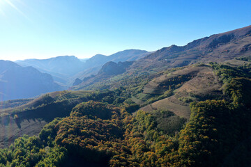 Obraz premium Aerial view of colorful autumn forest covered mountains in the autumn