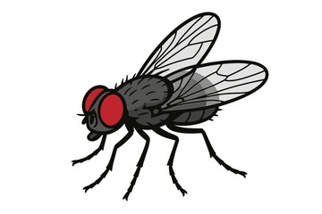 Obraz premium Housefly vector illustration. Common housefly cartoon character. Pest control, infestation concept. Insect, bug icon with big red eyes. Zoology, entomology graphic element.