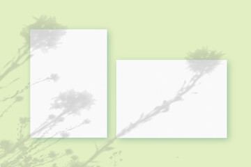 Natural lighting casts shadows from wildflowers on horizontal and vertical sheets of white textured paper against a green wall background. Mockup