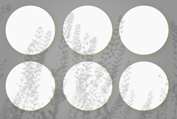 Natural light casts shadows from wild grasses on 6 round sheets of white textured paper lying on a gray textured background. Mockup