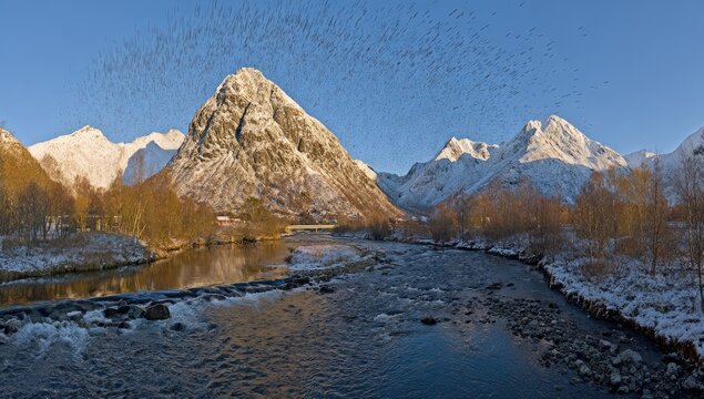 Snowy mountain peaks, a calm river, and a flurry of birds.  Sunrise over a tranquil winter landscape