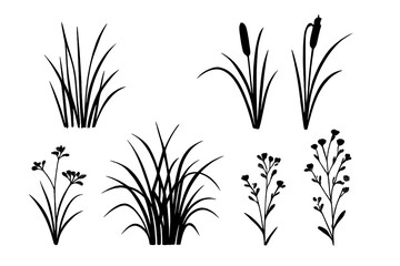 Silhouettes of grass, reeds, wild plants isolated on white background, vector illustration with transparent background, nature elements, botanical silhouettes, meadow and wetland vegetation art
