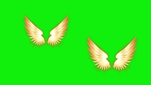Angel birds flying wings animation video green screen.