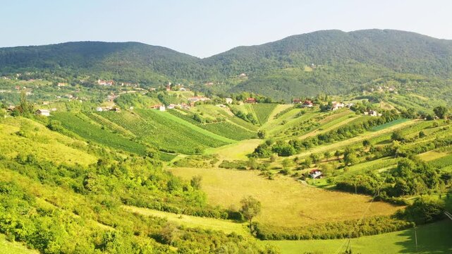 Panoramic view of picturesque vineyards in Plesivica in Croatia, amazing Croatian wine region 
