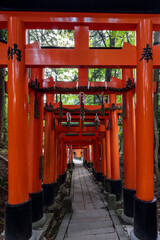Aligned torii gates with ritual rope details in Fushimi Inari iconic path, glowing in daylight against green forest tones