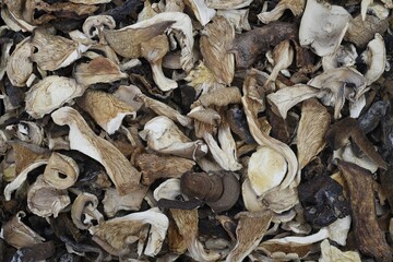 Mix of dried wild mushrooms, yellow boletus, oyster, portobello and porcini.