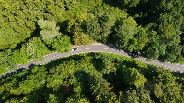 A country road winds through forests and meadows photographed with a drone