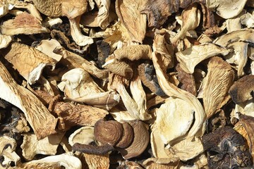 Mix of dried wild mushrooms, yellow boletus, oyster, portobello and porcini.