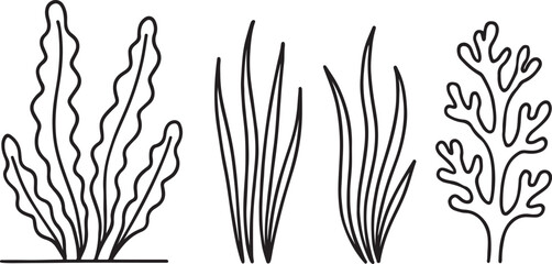 Minimalist seaweed line art marine plant set design vector illustration © Mohaiminul