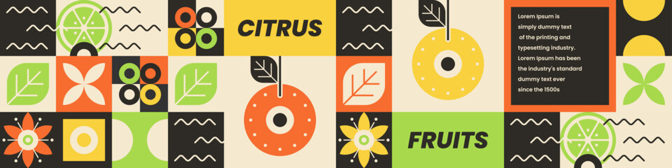 Citrus Fruits with Colorful Composition